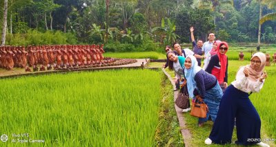 Gathering Gathering Gathering Omahku Properti
